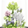 Balody 3D bouwset Jasmine onder stolp Clearance
