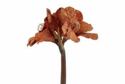 Countryfield Kunstbloem Amaryllis bruin Online