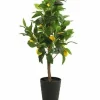 Countryfield Kunstplant Citrus Limon geel 75 cm hoog New