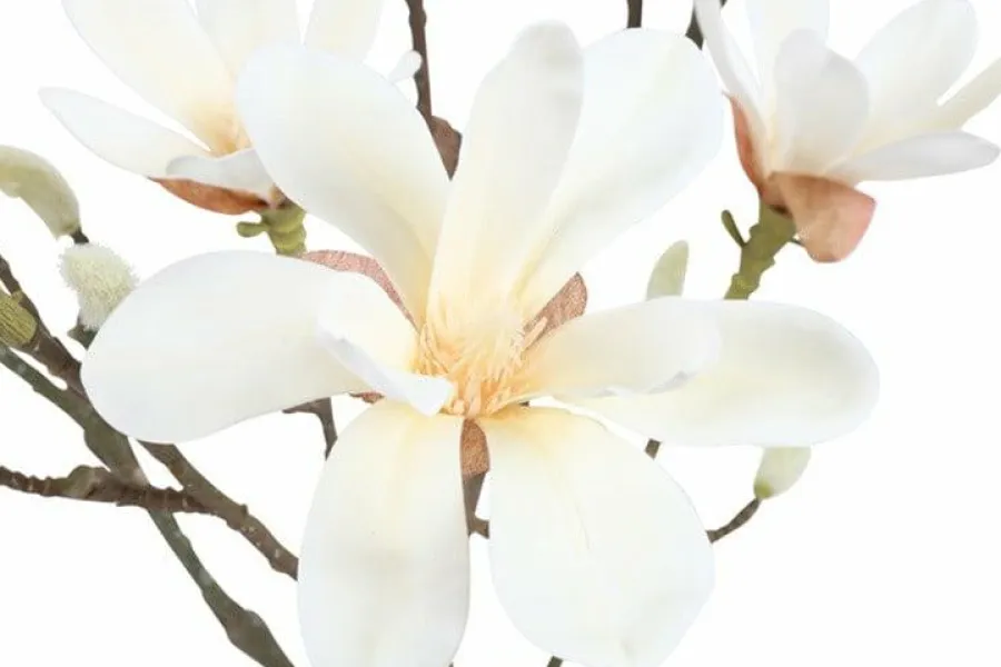Countryfield Kunstplant Magnolia S wit 54 cm hoog Sale