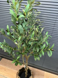 Countryfield Kunstplant Olea olijfboom L groen - 120 cm hoog Hot