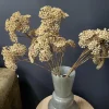 Countryfield Kunsttak Achillea creme Online