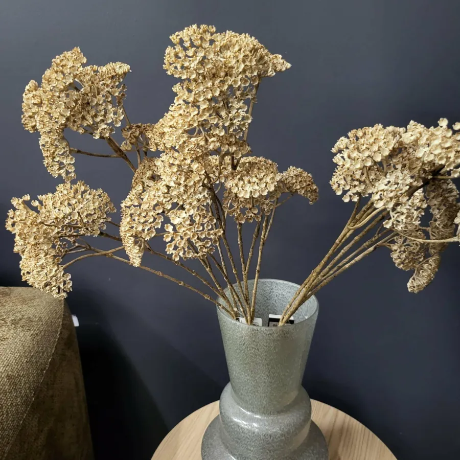 Countryfield Kunsttak Achillea creme Online