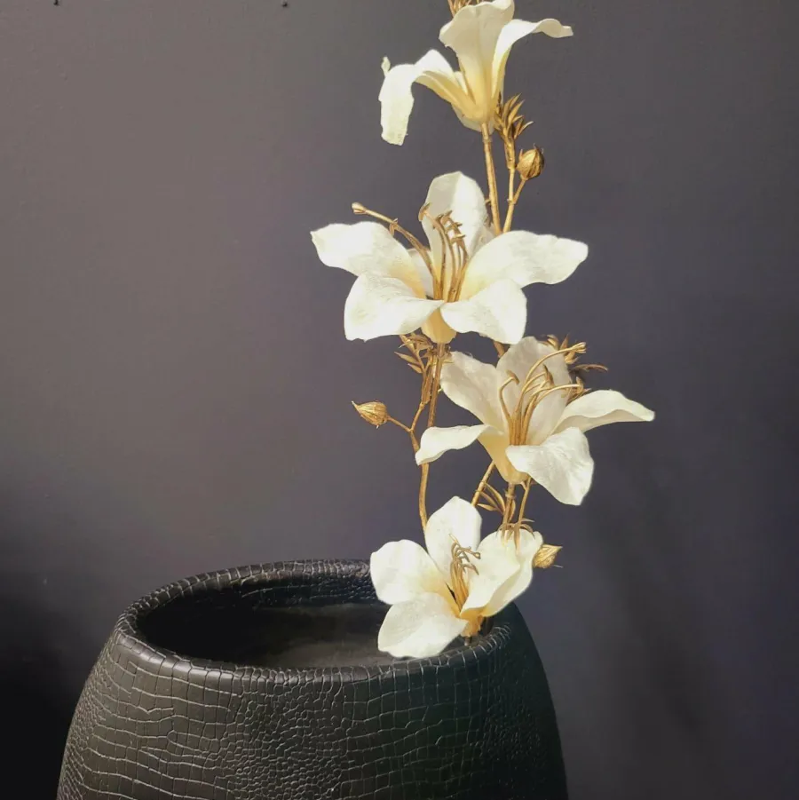 Countryfield Kunsttak Bauhinia Creme Best