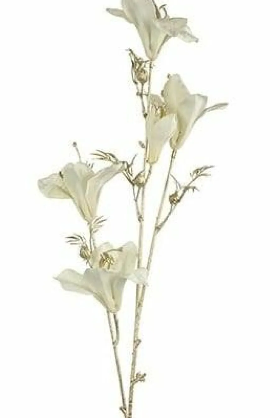 Countryfield Kunsttak Bauhinia Creme Best