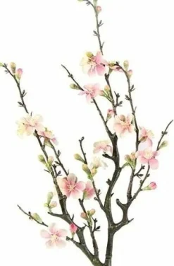 Countryfield Kunsttak Bloesem Quince S roze Discount