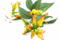Countryfield Kunsttak Gloriosa goud Discount
