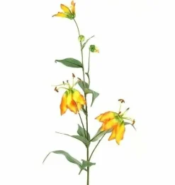 Countryfield Kunsttak Gloriosa goud Discount