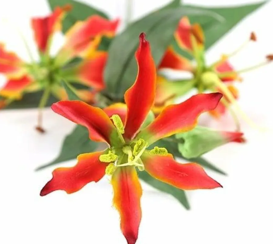 Countryfield Kunsttak Gloriosa oranje New