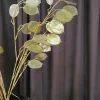 Countryfield Kunsttak Lunaria biennis L - bruin of groen