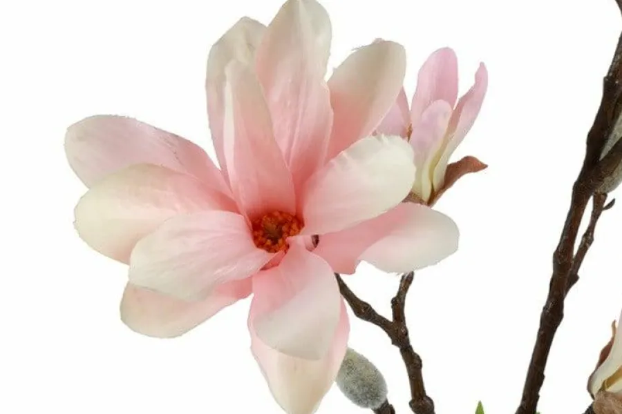 Countryfield Kunsttak Magnolia Chayca L roze Discount
