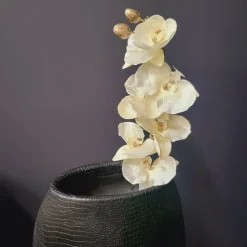 Countryfield Kunsttak Phalaenopsis crème Outlet