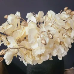 Countryfield Kunsttak Phalaenopsis crème Outlet