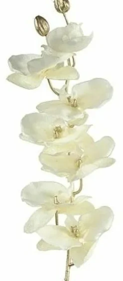 Countryfield Kunsttak Phalaenopsis crème Outlet