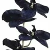 Countryfield Kunsttak Phalaenopsis donkerblauw Sale