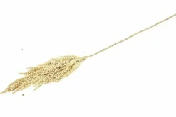 Countryfield Kunsttak Sorghum beige Sale
