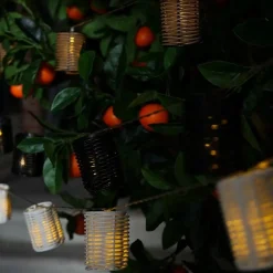 Countryfield Lichtslinger LED Kacy zwart New
