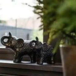 Countryfield Olifant Novi zwart