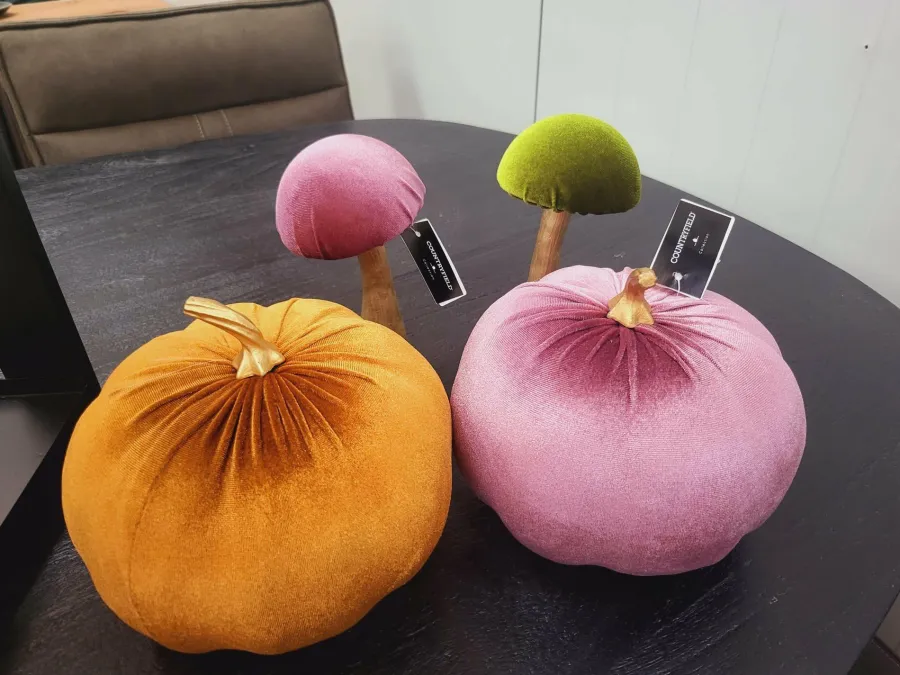 Countryfield Pompoen Pumpa L lila / roze Clearance