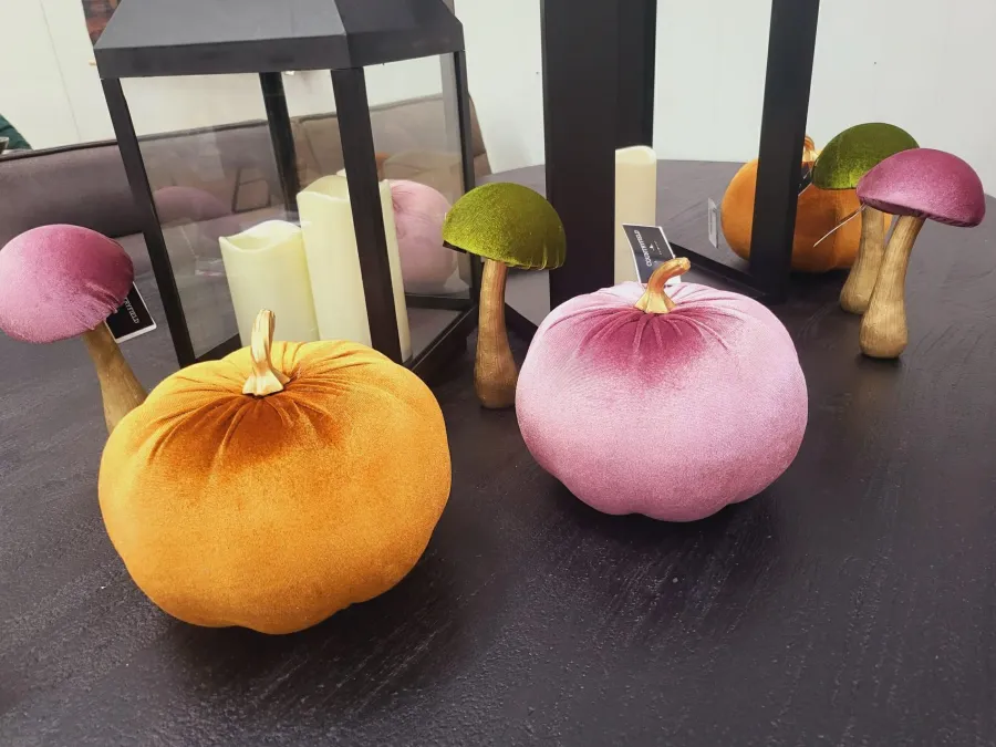 Countryfield Pompoen Pumpa L lila / roze Clearance