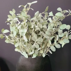 Countryfield Tak Eucalyptus groen 3 Hot