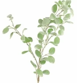 Countryfield Tak Eucalyptus groen 3 Hot