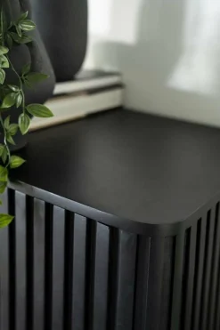 Eleonora Kabinet Remi 2-drs. - zwart Clearance