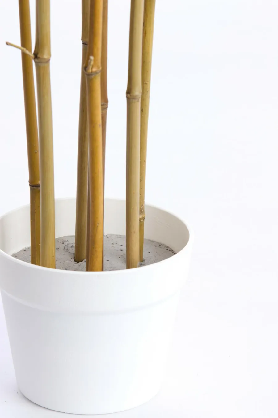 Light en Living Ornament in pot 70x60x90 cm BAMBOO naturel+crème Hot