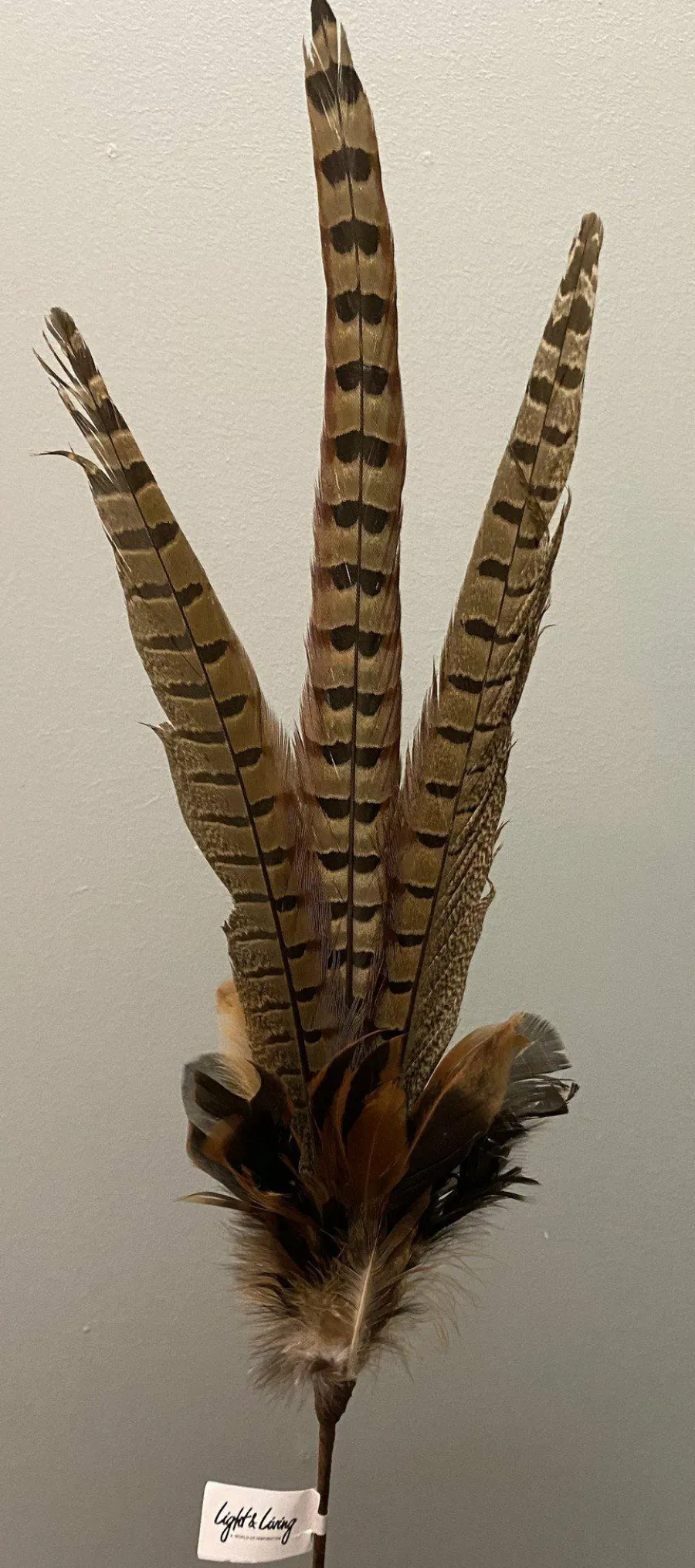 Light en Living Ornament Ø15x60 cm PHEASENT donker bruin Best