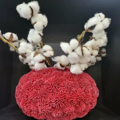 Light en Living Vaas Deco Ø37X21 Cm Coral Rood