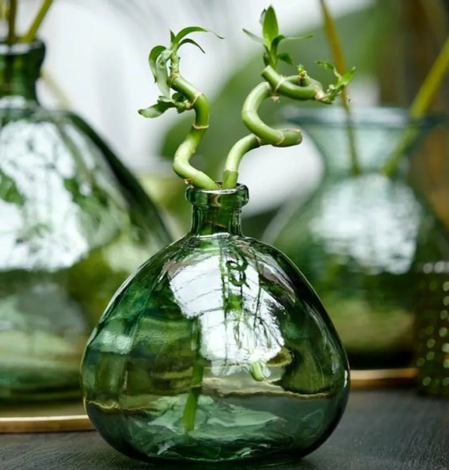Light en Living Vaas Selores glas - Groen, bruin of bruin - zand Best
