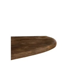 Light en Living Wandplank 100x25x3 cm GINOSU mat donker bruin Outlet