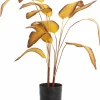 Parlane Ornament in pot STRELITZIA goud-bruin+zwart - Ø110 cm