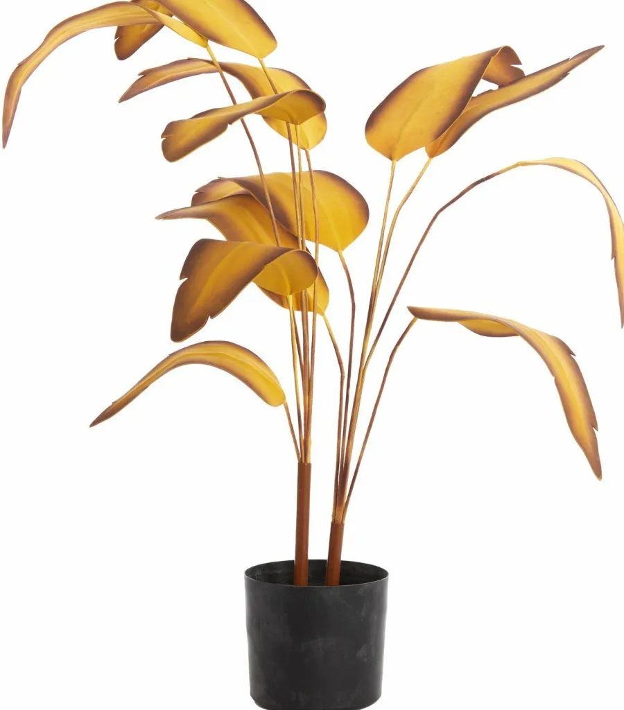 Parlane Ornament in pot STRELITZIA goud-bruin+zwart - Ø110 cm