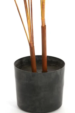 Parlane Ornament in pot STRELITZIA goud-bruin+zwart - Ø110 cm