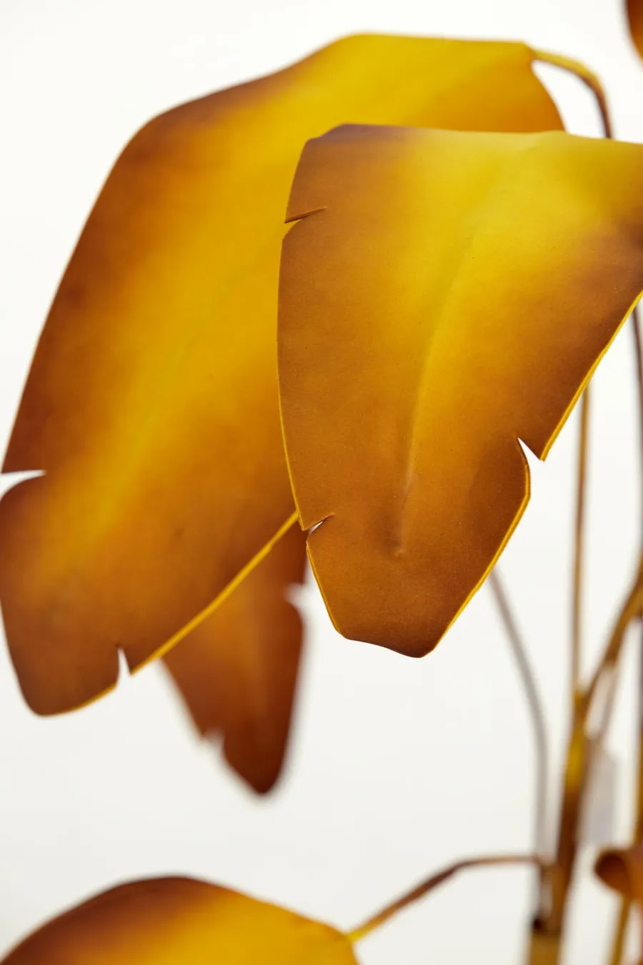 Parlane Ornament in pot STRELITZIA goud-bruin+zwart - Ø110 cm