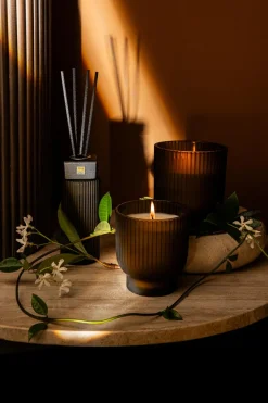 PTMD Geurkaars New Elements woody bouquet S Outlet