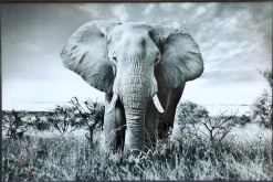 PTMD Schilderij Melani Glass Art olifant groot Outlet