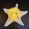 PTMD Tafellamp Graeme Wit Zeester sea star shaped LED lamp S Best