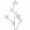 Pure Kunsttak Bloesem 86 cm creme Discount