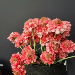 Pure Kunsttak Duifkruid 66 cm roze Discount