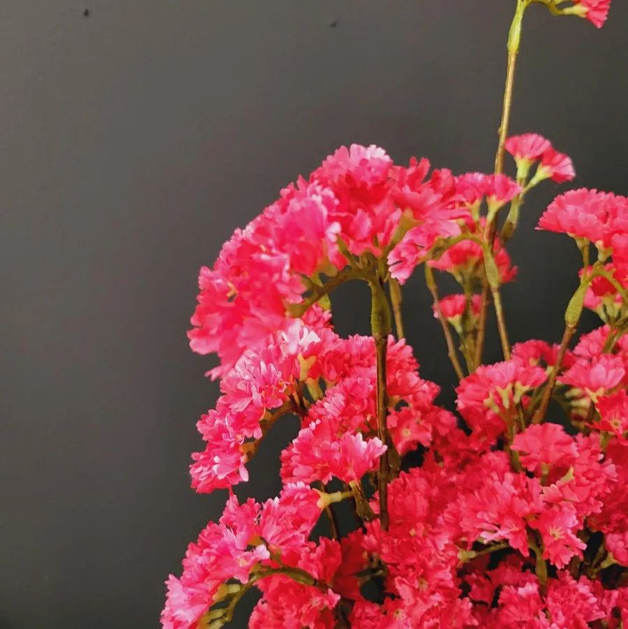 Pure Kunsttak Limonium 70 cm Beauty roze Discount