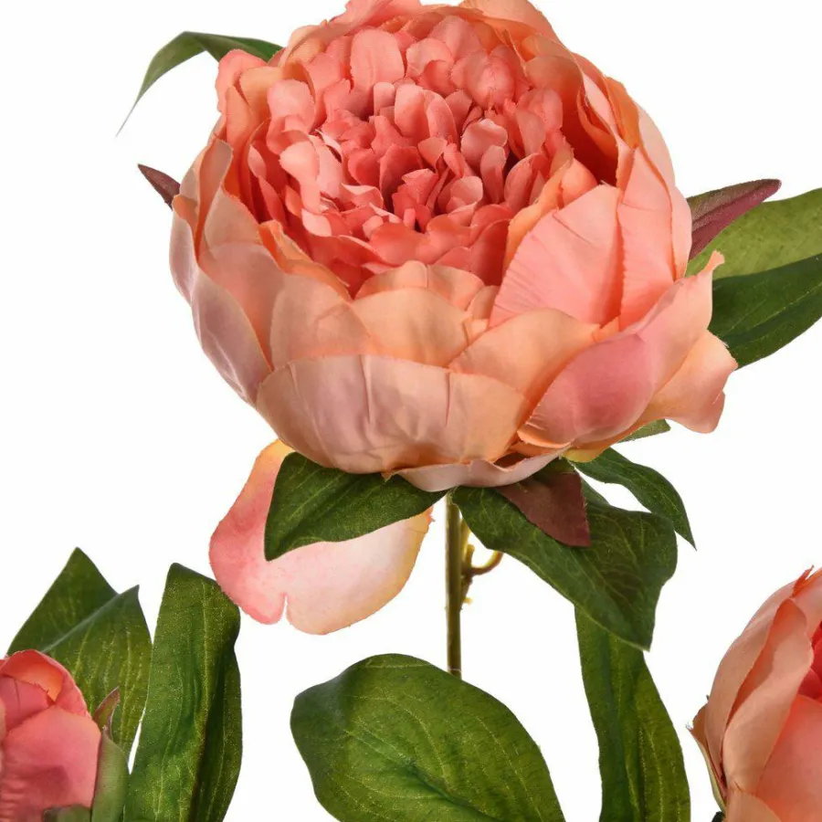 Pure Kunsttak Pioen X3 70 cm zalm Outlet