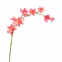 Pure Kunsttak zwaardlelie roze 95 cm Outlet