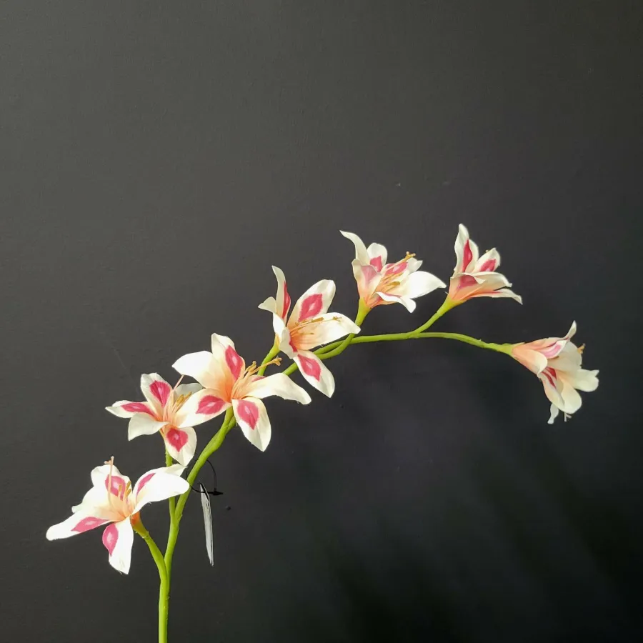 Pure Kunsttak zwaardlelie peach 95 cm Sale