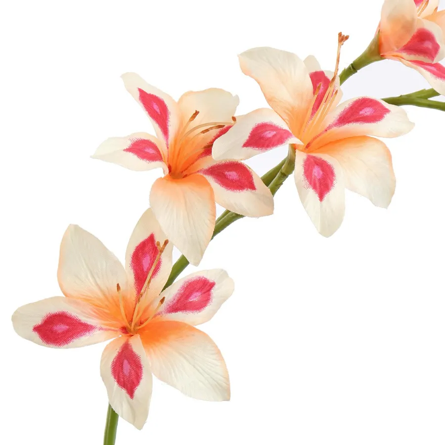 Pure Kunsttak zwaardlelie peach 95 cm Sale