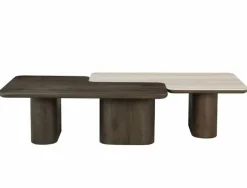 Richmond Interiors Salontafel Nando set van 2 Bruin Clearance