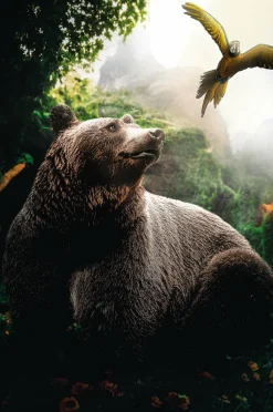 Wandkraft Bear Clearance