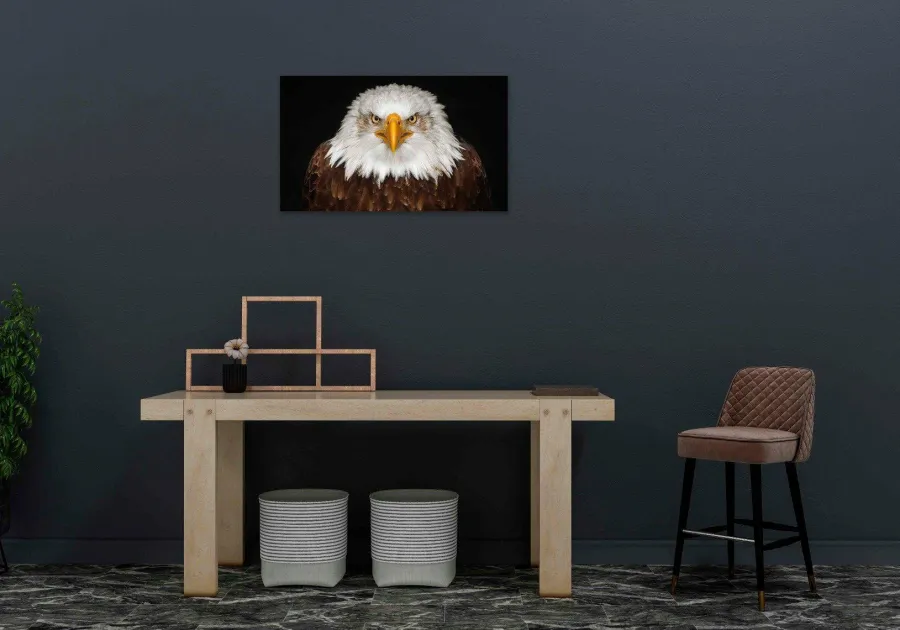 Wandkraft Bright Wings 015 Online