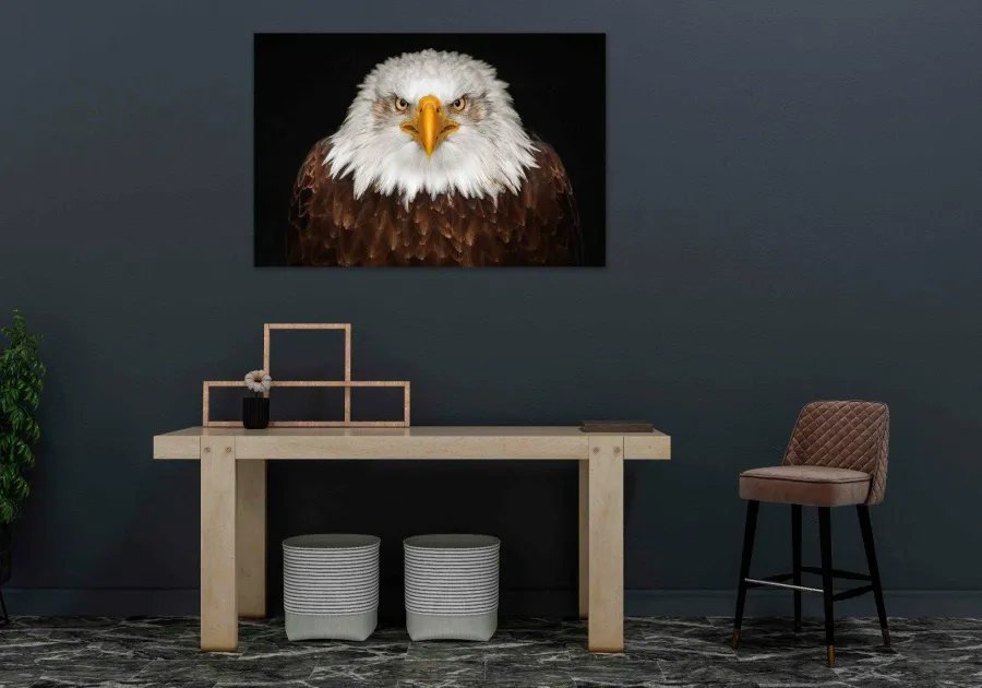 Wandkraft Bright Wings 015 Online
